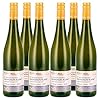 WEINGUT MEES | Sauvignon Blanc 2019, Weisswein trocken, 6 x 0,75l, Kreuznacher Rosenberg – Nahe | hochwertiger prÃ¤mierter Weisswein | WeiÃwein-Set aus Deutschland | Paket 100% Sauvignon Blanc