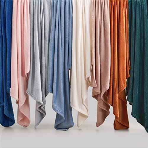 Image of Bedsure GentleSoft Fleece Blankets Queen Size Light Grey - Bed Blanket Soft Lightweight Plush Fuzzy Cozy Luxury Microfiber, 90x90 inches