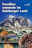  Fossilien sammeln im Salzburger Land