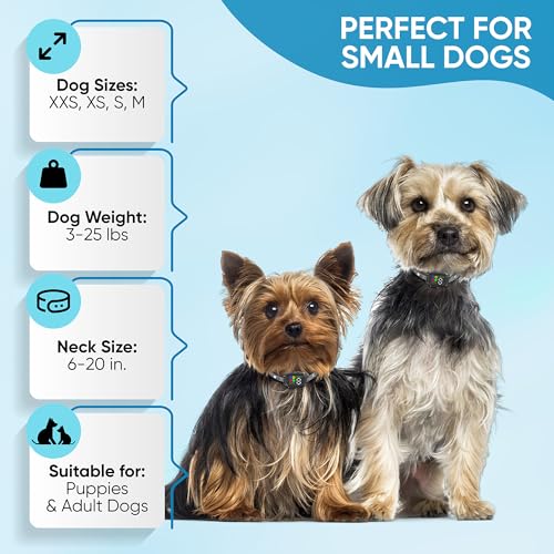 Elecane Tiny Bark Collar For Small Dogs 5-15 Lbs And Puppies thumb #3
