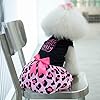 CuteBone Little Miss Sassy Pants Dog Leopard Print Dress Velvet for Small Dogs Girl Puppy Dresses Pink Dog Clothes CVA15XXS-D #4