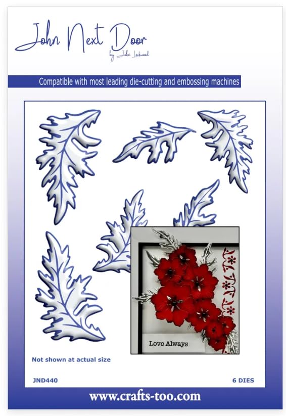 John Next Door - Scarlett Flower