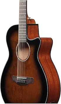 Amazon | Ibanez AEG 12弦 アコースティックエレキギター (ダーク