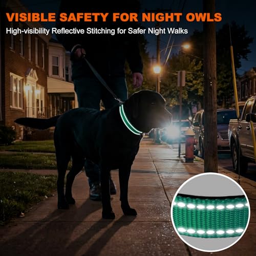 Image of Taglory Reflective Extra Large Dog Collar, Comfortable for Safe Night Walks