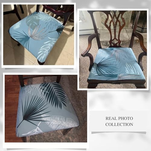 Image of SearchI Dining Chair Seat Covers Set of 6, Rear Covered, Blue Foliage