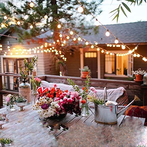 Commercial Grade 50ft G40 Globe String Lights for Outdoor Events and Decor