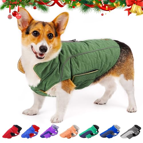 ThinkPet Dog Cold Weather Coats - Cozy Waterproof Windproof Reversible Winter Dog Jacket, Thick Padded Warm Coat Reflective Vest Clothes for Puppy Small Medium Large Dogs Green