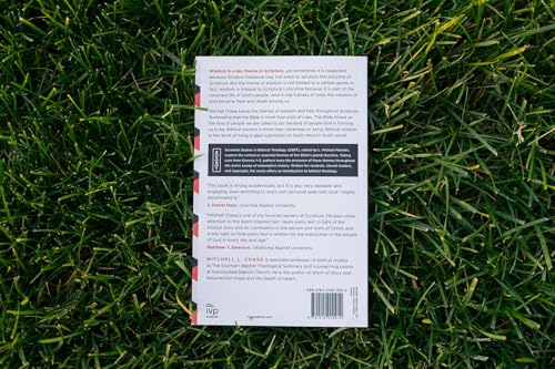 Walking the Way of the Wise: A Biblical Theology of Wisdom (Essential Studies in Biblical Theology) - Image 2