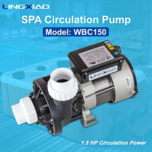 swim spa high capacity 386