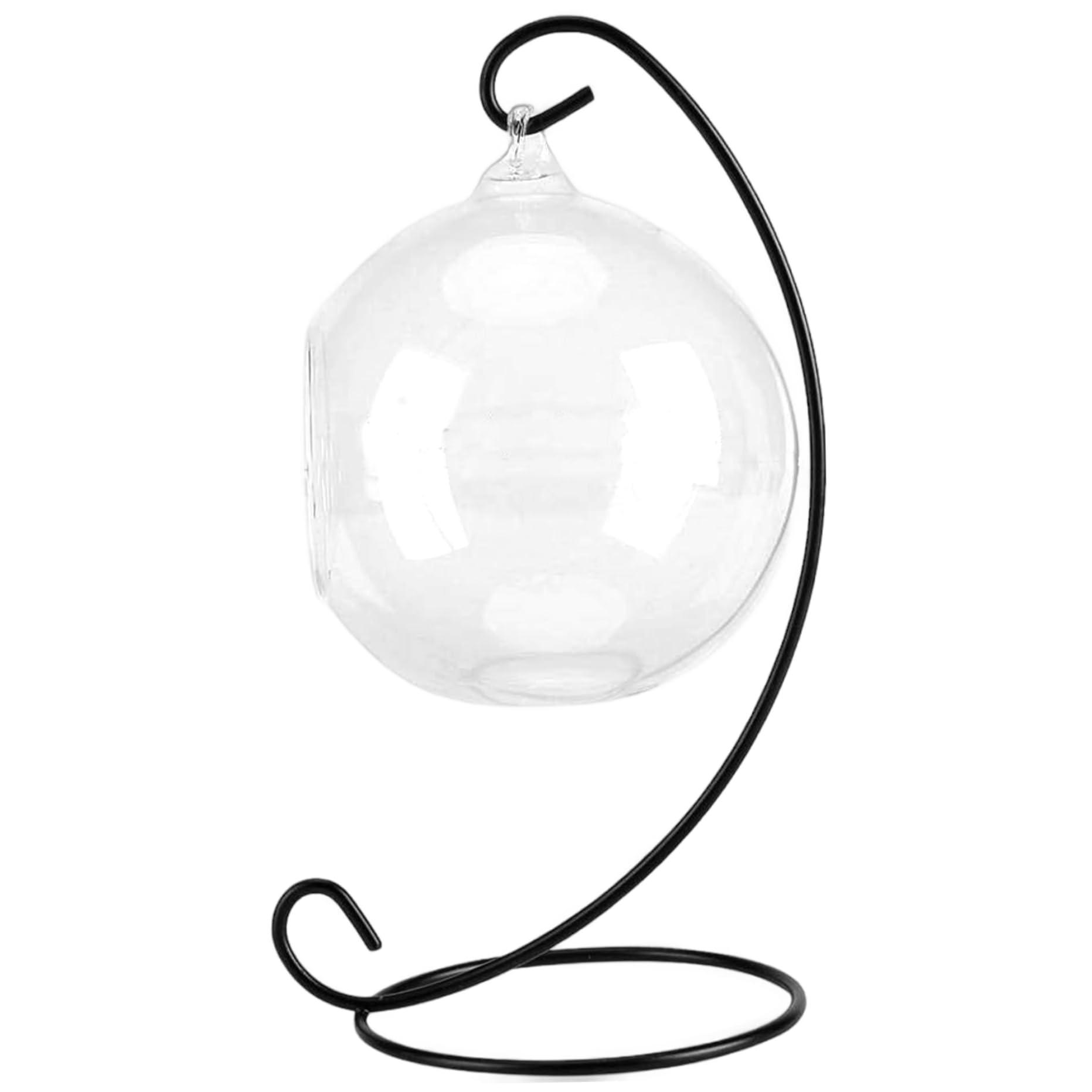 BEAHING Air Plant Terrarium, With Black Iron Stand Clear Glass Terrariums for Plants Hanging Funny DIY Kit for Air Plants Succulent Small