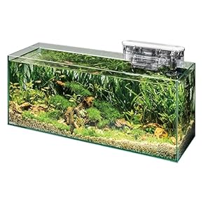 ７＠プロフ必読様　90ガラス水槽　4面ブラック　ホース付き 61M7lJA7V2L._AC_UL210_SR210,