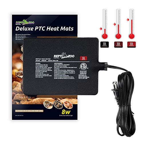 How To Maintain Ideal Heat, Light Temperature For A Leopard Gecko