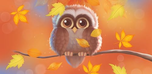 Cute Owl