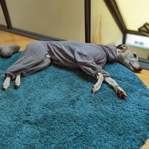 EDEL&SCHNELL Hundebademantel aus grauem Frottee, saugfähiger und weicher Bademantel Hund, Rückenlänge 70-75 cm, ideal für Windhunde, Whippets, Ridgebacks, Dalmatiner