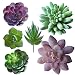 A-FUN Realistic Fake Artificial Succulent Plants Unpotted Fake Cactus for Home Gardern Diy Decoration 6 PCS