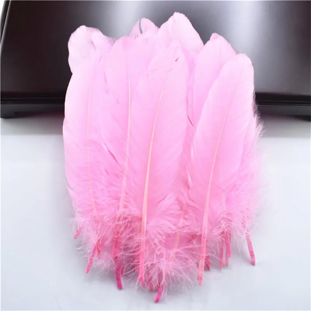 Natural Pheasant Feathers, Natural Pheasant and Goose Craft Feathers Pack of 50 Multicolor 5-7.2 inches