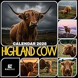 Photo Gallery highland cow calendar 2026: monthly planner featuring shaggy scottish cattle in majestic landscapes Photo Gallery highland cow calendar 2026: monthly planner featuring shaggy scottish cattle in majestic landscapes