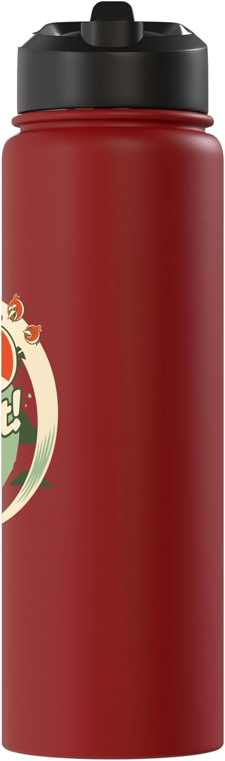 Angry Birds Take Flight! Stainless Steel Insulated Water Bottle