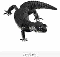 いきもの大図鑑◎ヒョウモントカゲモドキ ガチャ コンプセット他　全14体セット いきもの大図鑑◎ヒョウモントカゲモドキ ガチャ コンプセット他