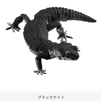 いきもの大図鑑 ヒョウモントカゲモドキ コンプ いきもの大図鑑ヒョウモントカゲモドキ4種良品コンプ 廃盤