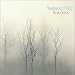 Bare Trees (Vinyl)