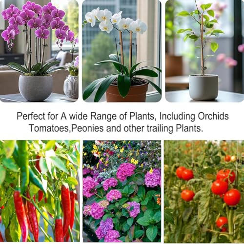 Image of 30 PCS Plant Support Clips for Climbers, Orchids, Vines and Stems | 30 reusable plant clips gently support orchid stems, climbing vines and flower stalks to help plants grow upright