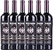 Produktbild VINELLO 6er Weinpaket Rotwein - Barbera Appassimento DOC 2019 - Ricossa mit Weinausgießer | halbtrockener Rotwein | italienischer Wein aus Piemont | 6 x 0,75 Liter