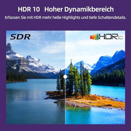CHIQ L40G5NV 40-Zoll Roku TV, FHD Smart-TV-Gerät, HDR10, DVB-T2/T/C/S/S2,Unterstützt Apple Air-Play, Sprachassistent, Apple TV+, Prime Video, USB2.0, Works with Alexa, Neu – Bild 7