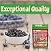 Sincerely Nuts Dried Blueberries (2 LB) Gluten-Free, Vegan & Kosher Snack - Fresh from USA - Bulk, Delicious Dried Fruit for all your Smoothies, Baking, Pancakes and Salads Needs