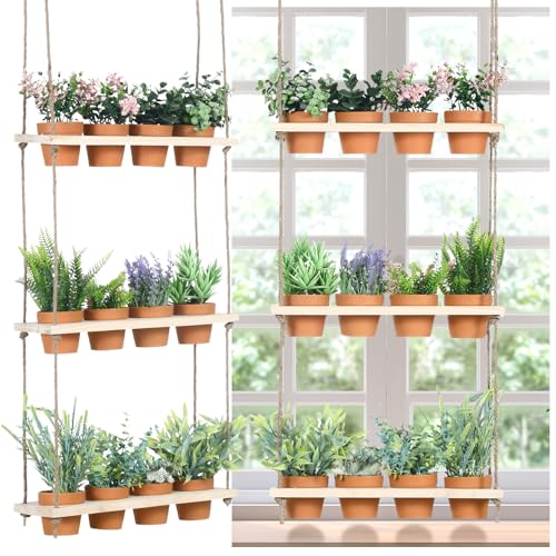 FillTouch 3 Tiered Hanging Herb Planters Hanging Herb Garden Wall with 12 Pcs Nursery Pot Wood Vertical Window Plant Shelf with Holes and Rope Plastic Flower Pots Spring Garden Indoor Kitchen
