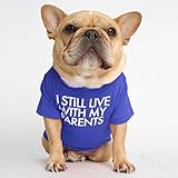 RIOSTUDIO 犬服 春 夏 (S～XXLまで5サイズ展開) 犬の服 夏用 Tシャツ シンプル 涼しい 通気 おしゃれな英文字プリント わんこ服 小型犬 中型犬 大型犬 猫服 防虫 抜け毛防止 ルームウェア 犬用(⑭[I STILL LIVE]×コバルトブルー,XXL)