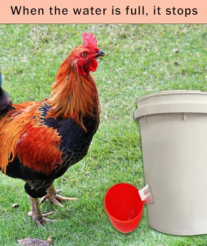 Image of 10 Pcs Chicken Feeder and Drinker, Chicken Feeder Cup, Poultry Farm Equipment Poultry Automatic Drinking Bowl
