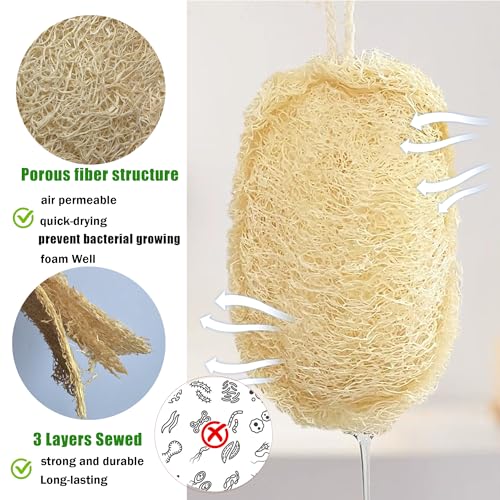 Image of Natural Loofah Kitchen Sponge (3 Pcs) No Scratch Scrubber for Dishwashing, 100% Plant Fibers Vegetable Scrubber, Zero Waste and Eco Friendly Loofa, Square, Large Size