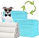 BPS BUENA PET SHOP BPS Trainingsunterlagen für Hunde und Katzen, Hygienepad (15 Stück, 40 x 50 cm)