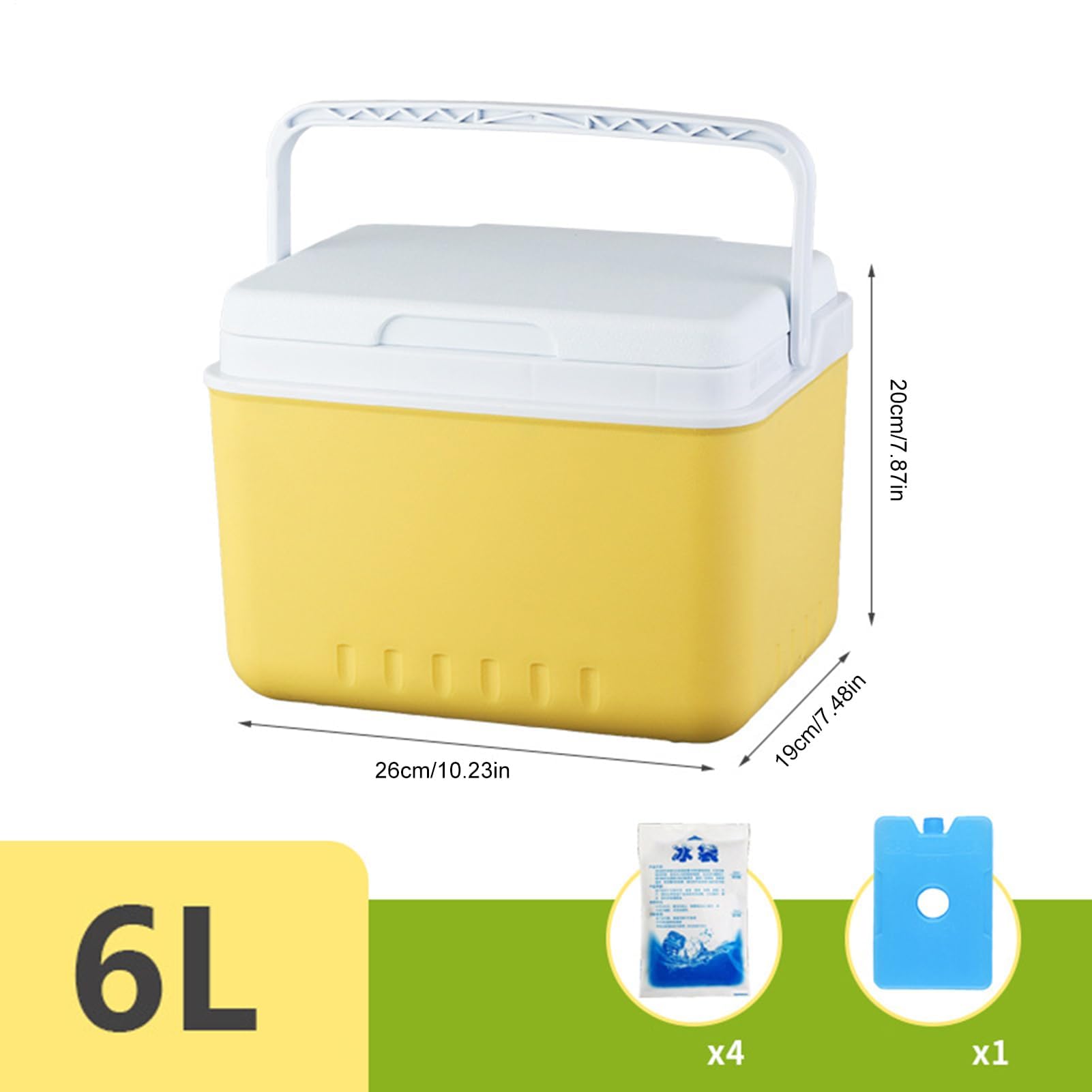 Refrigeratore isolato da 6 litri, portatile, a prova di perdite, con maniglia per il trasporto, mantiene il cibo e le bevande freddi per ore con impacchi di ghiaccio, ideale per campeggio, pesca