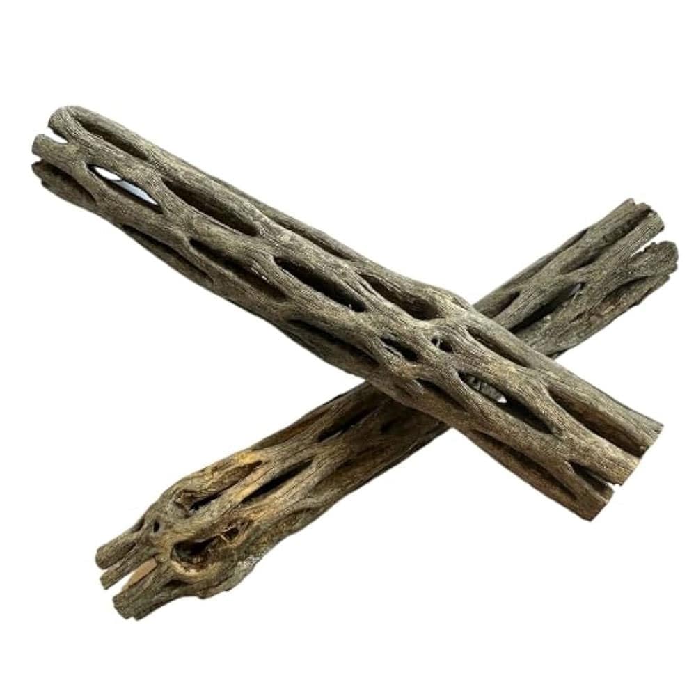 ecorce de cholawood terminalia pour