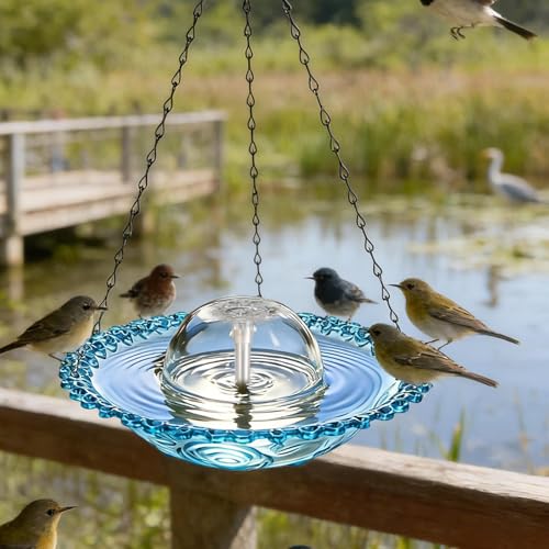 Fuente de jardín eléctrica, bomba antioxidante transparente para balcón 3