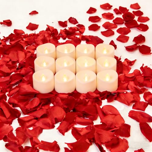 Image of 200 PCS Dried Real Red Rose Flower Petals for Wedding, 1.76oz Preserved Freeze Flower Girl Petals with 12 PCS LED Tea Lights Candles for Romantic Night Wedding Proposal Centerpeice Shower Party Decor