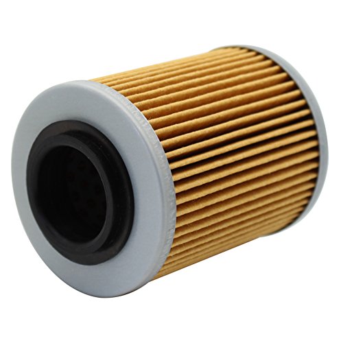 Cyleto filtro olio per can-am RENEGADE 500 2008