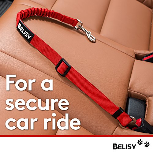 BELISY Hunde Sicherheitsgurt fürs Auto I passend für alle Hunderassen I Rot
