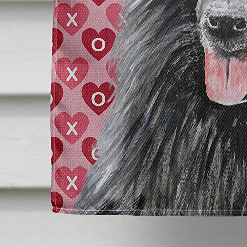 Drapeau Belgian Sheepdog en toile de canevas résistante grande taille - 5