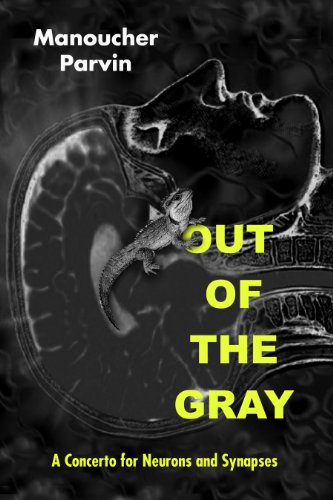 Out of the Gray: A Concerto for Neurons and Synapses (English Edition)