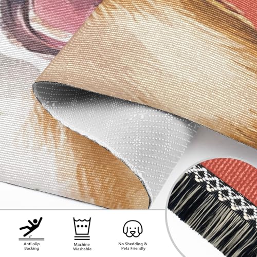 Tapis antidérapant lavable pour couloir et terrasse extérieure - 5