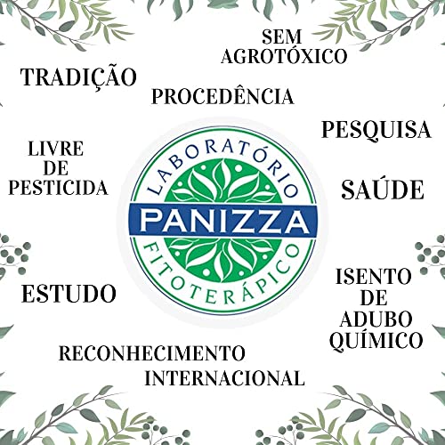 Chá de Hibiscus Panizza 30g
