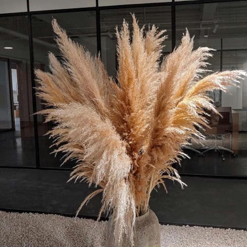 Pampas Grass pack de 10 piezas decorativas natural miniatura 2