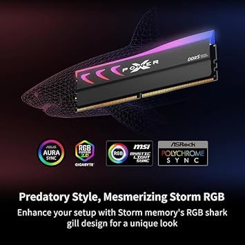 Silicon Power DDR5 32GB (2x16GB) Storm RGB 6000MT/s (PC5-48000) 288-pin CL36 1.35V UDIMM Desktop Memory Module RAM SP032GXLWU60CFDK Gray