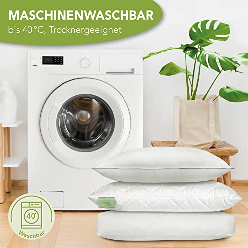 DREAMSTAR Cotton 2er Set Kopfkissen mit Eco Faserfüllung und Baumwollbezug| waschbar 60 Grad | Allergiker geeignet | Baumwollbezug | 40 x 80 cm