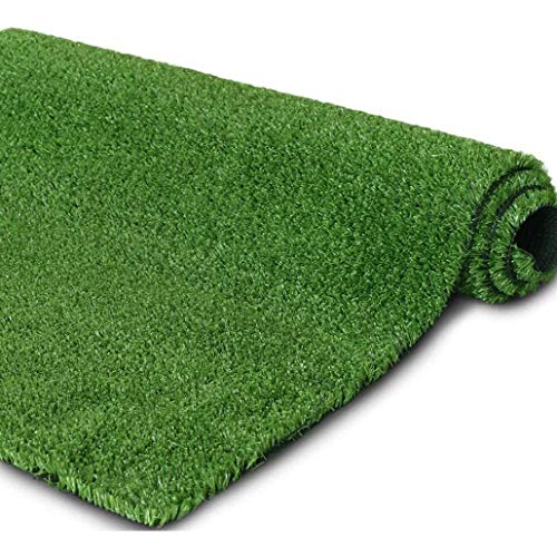 Auart Synthetic Turf Grass Artificial Lawn Rug with Drainage Holes and Rubber Backin,Mat Pet Turf Fake Grass for Dogs,Thick Fake Grass Rug (Color : 25mm, Size : 1mX2m)