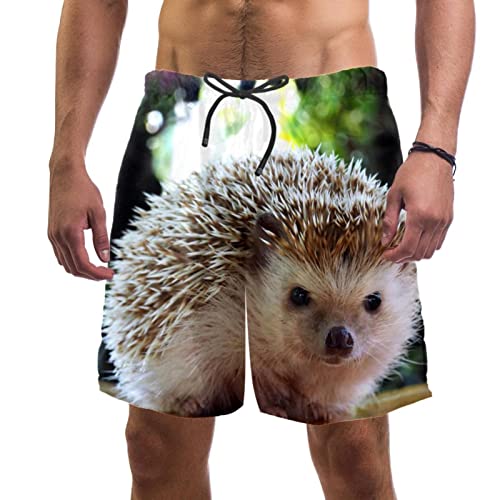 Maillots de bain pour hommes légers avec imprimé hérisson
