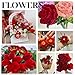 TOAOB 200pcs Pipe Cleaners Craft Supplies DIY Rose Bouquets Making Kit Red Chenille Stems Artificial Flowers Craft Kit for DIY Art and Crafts Party Wedding Home Decorations
